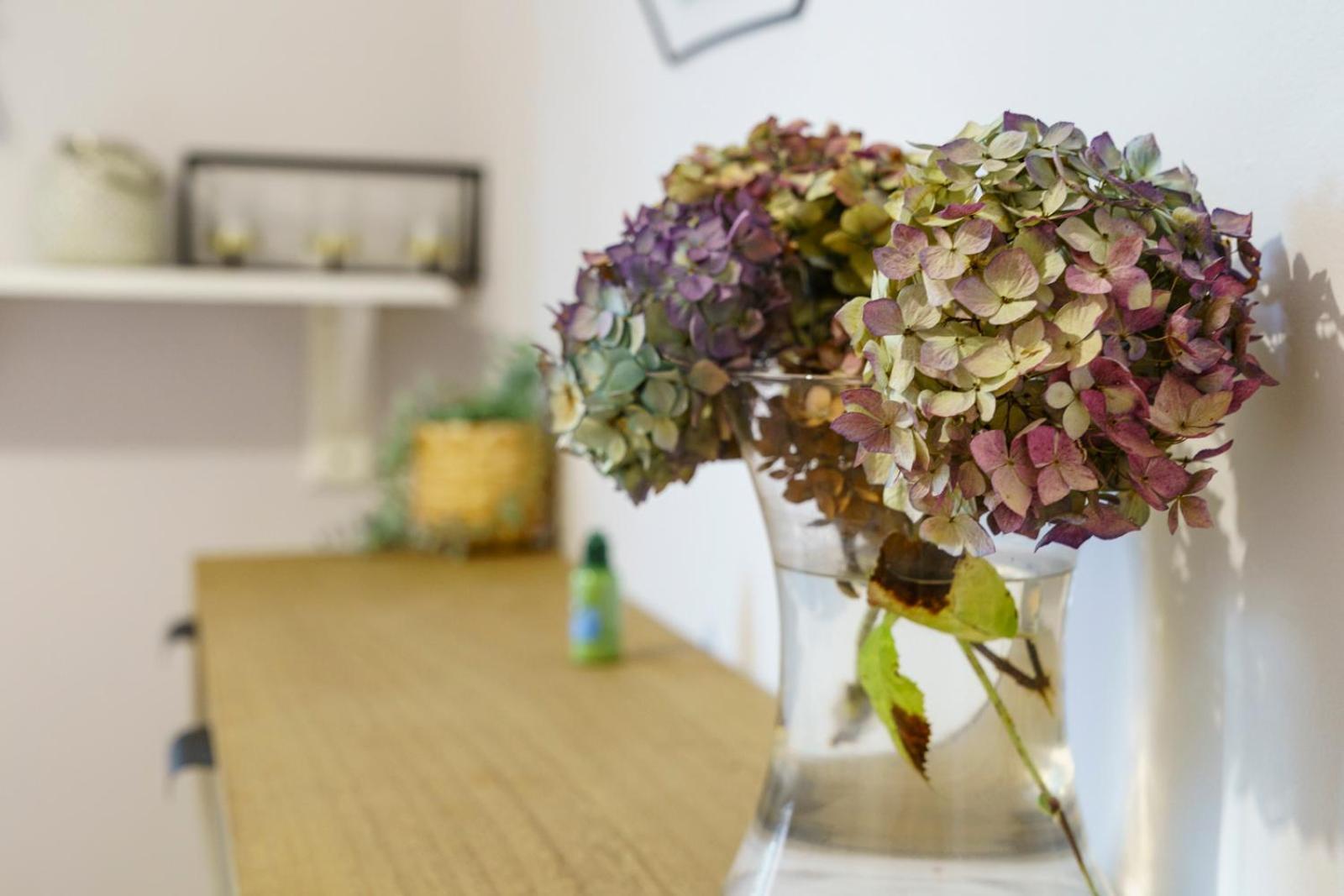 Close To City Centre Stylish 3 Bedroom House Belfast Ngoại thất bức ảnh